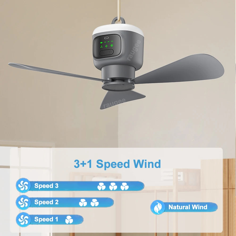 Ventilateur de plafond