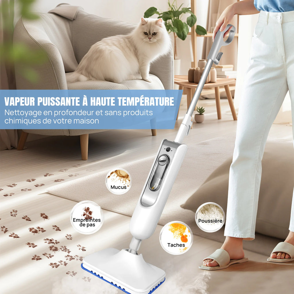 Le nettoyeur vapeur
