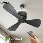 Ventilateur de plafond