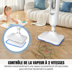 Le nettoyeur vapeur