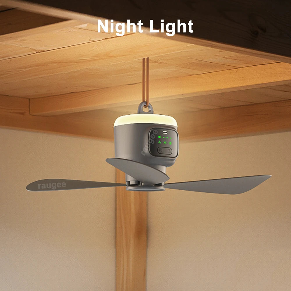 Ventilateur de plafond